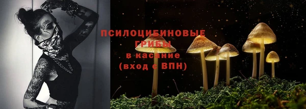 эйфоретик Мегион