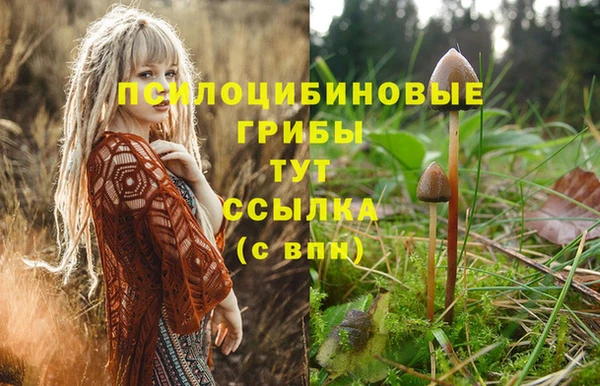соль курить ск Медвежьегорск