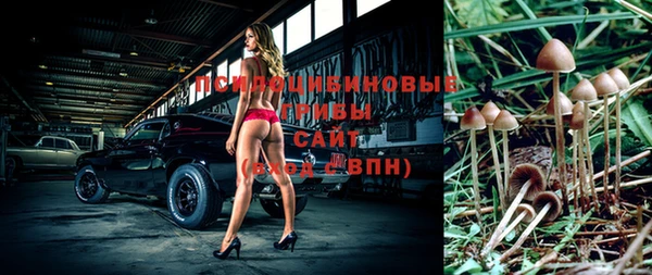 эйфоретик Мегион