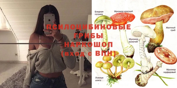 эйфоретик Мегион