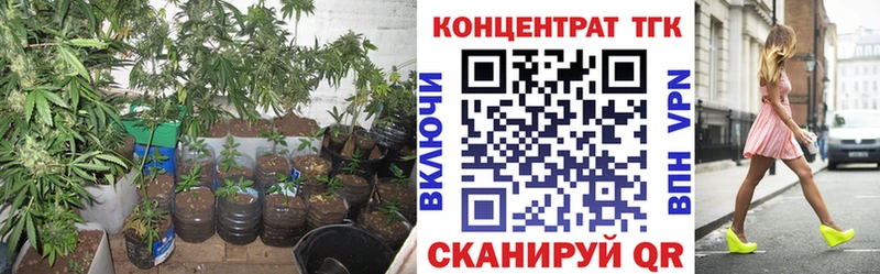 Дистиллят ТГК концентрат как найти Холмск