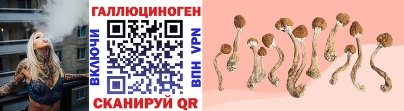 Галлюциногенные грибы Cubensis  Холмск 