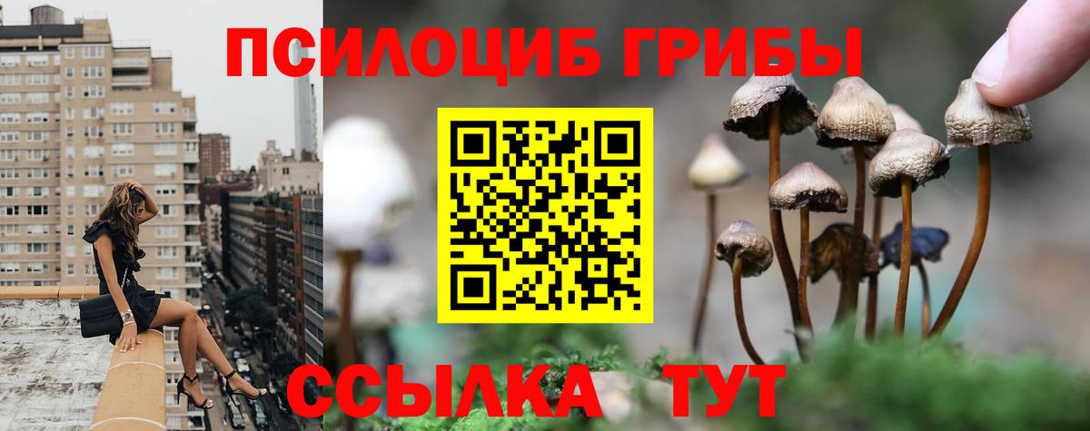 Псилоцибиновые грибы MAGIC MUSHROOMS  Вход с VPN  Холмск 